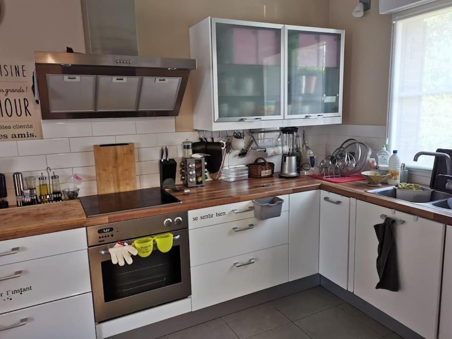 Villa Individuelle 5 Mn Lille Centre Chr/Eurasante Haubourdin 外观 照片